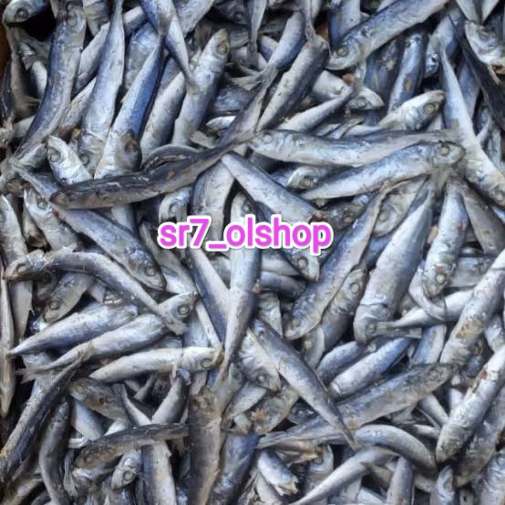 

Ikan Rebus Kering/ Rebus Asin 100gr