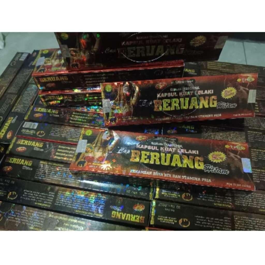 beruang hitam kapsul