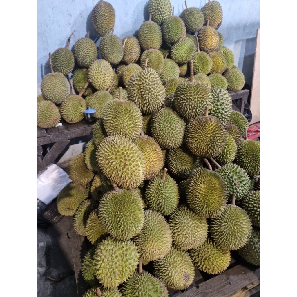 

DUREN