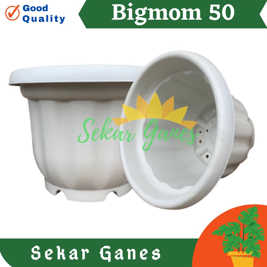 KODE P58N Pot Kuat 55 Putih  Pot Besar Jumbo Murah 5cm 6cm Pot Besar Plastik Bahan Tebal  Pot Bunga 