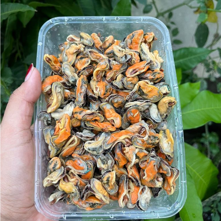 

Kerang Hijau Kupas 500 Gr / Daging Kerang Ijo 500Gr