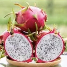 

Buah naga putih super manis premium 1 kg