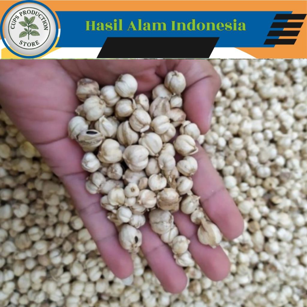 

KAPULAGA/KAPOL Kering Kualitas Terbaik