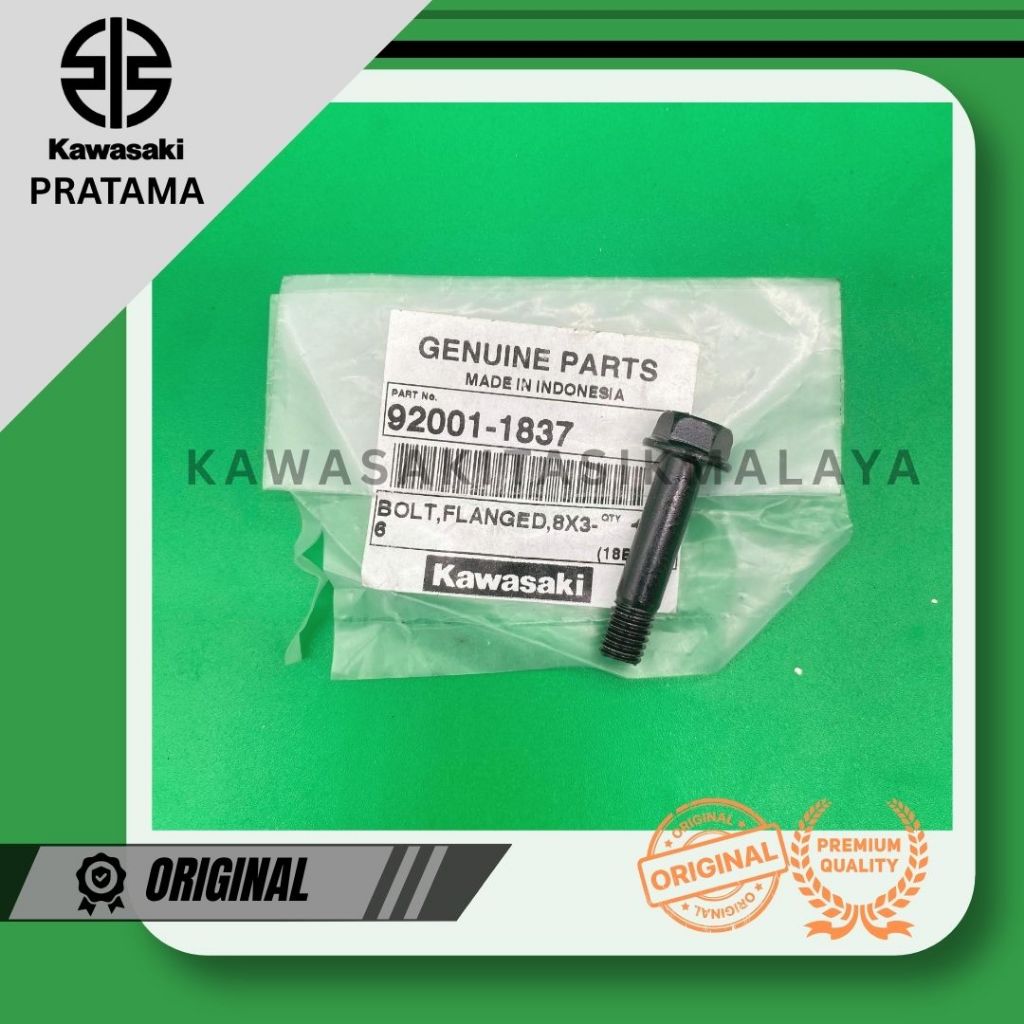 Baut braket dudukan kaliper depan ninja 150 R ninja 150 RR 92001-1837 original kawasaki