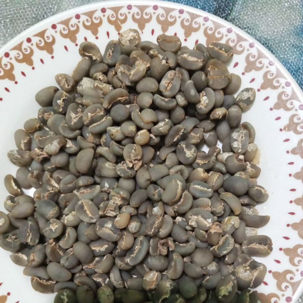 

kopi Sidikalang