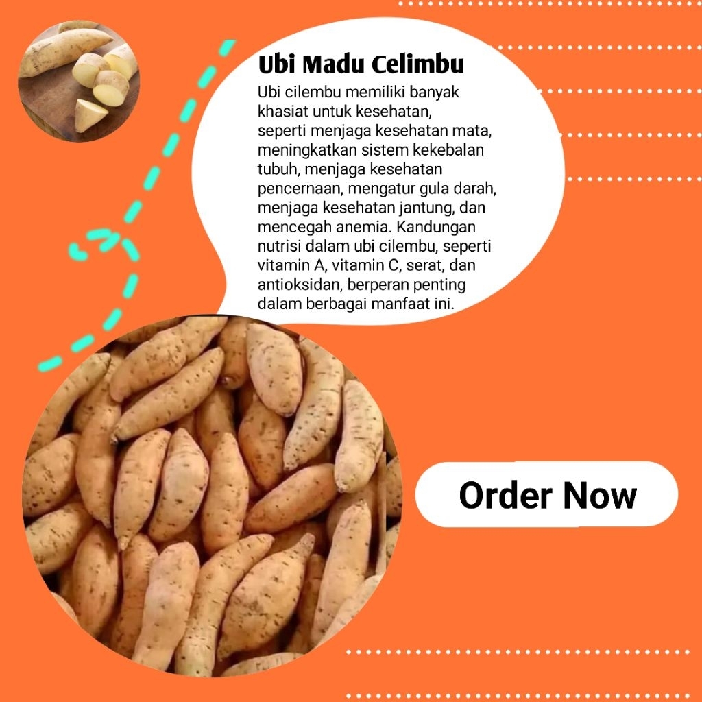 

Ubi madu cilembu mentah