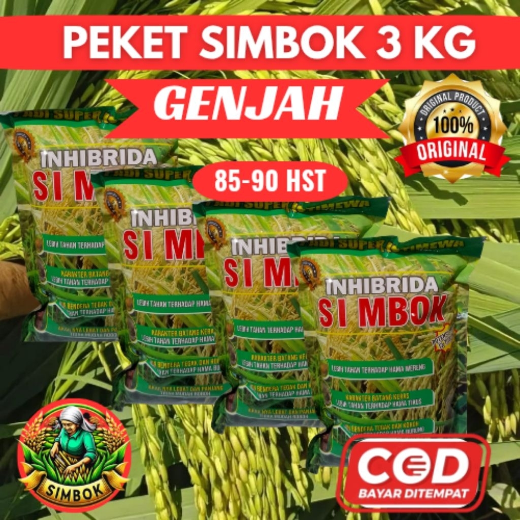 ( 3 KG ) PADI SIMBOK GENJAH USIA PENDEK SUPER ISTIMEWA
