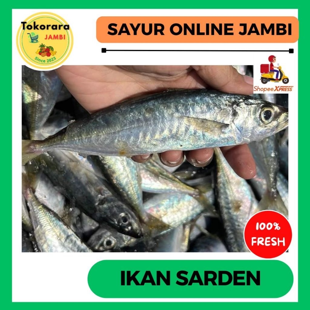 

KIRIM INSTAN Ikan Sarden/Dencis fresh-tokorara. jambi