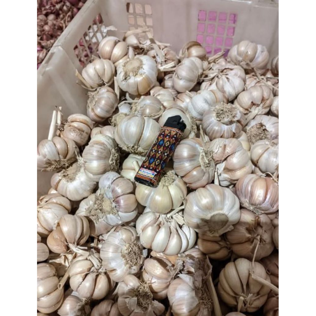 

BAWANG PUTIH 1 KILO SUDAH BERSIH
