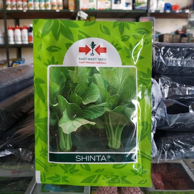 Benih sawi caisim SHINTA 25 gr sawi dari panah merah sawi shinta 25 gram