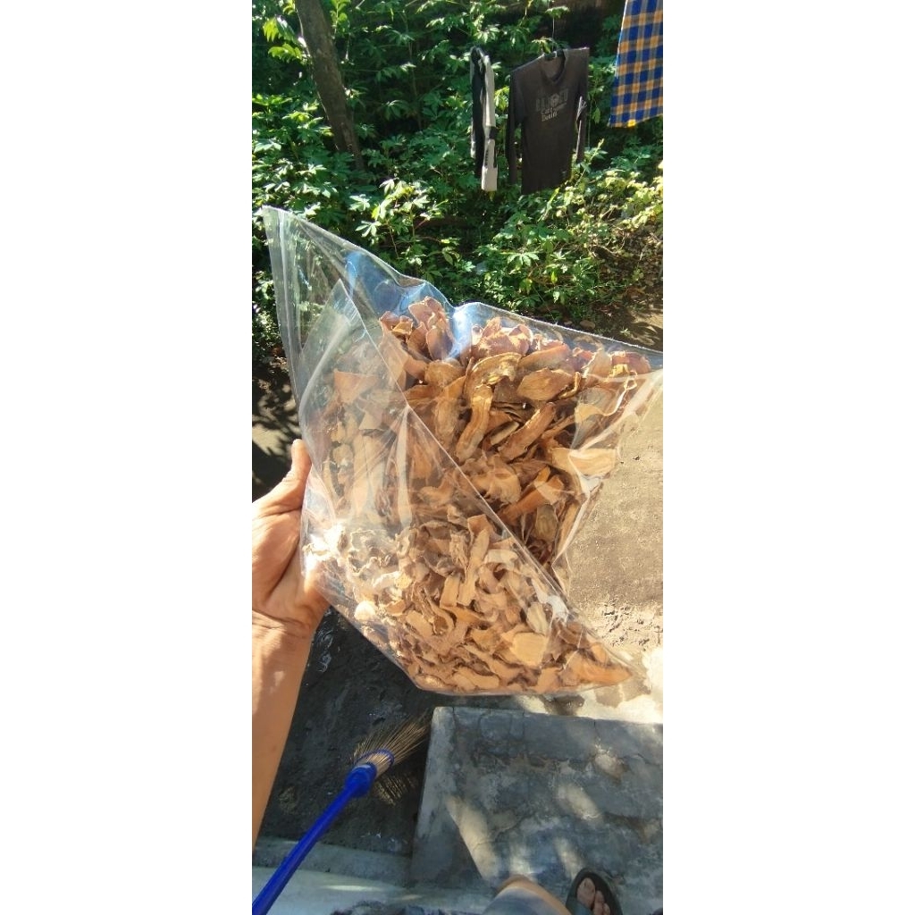 

TEMULAWAK KUNING IRIS KERING 100 GRAM