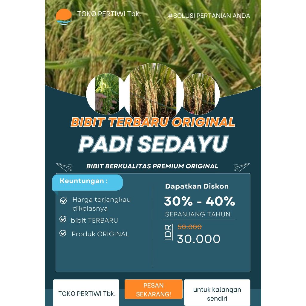 BIBIT BENIH PADI SEDAYU SUPER PREMIUM KEMASAN 1KG