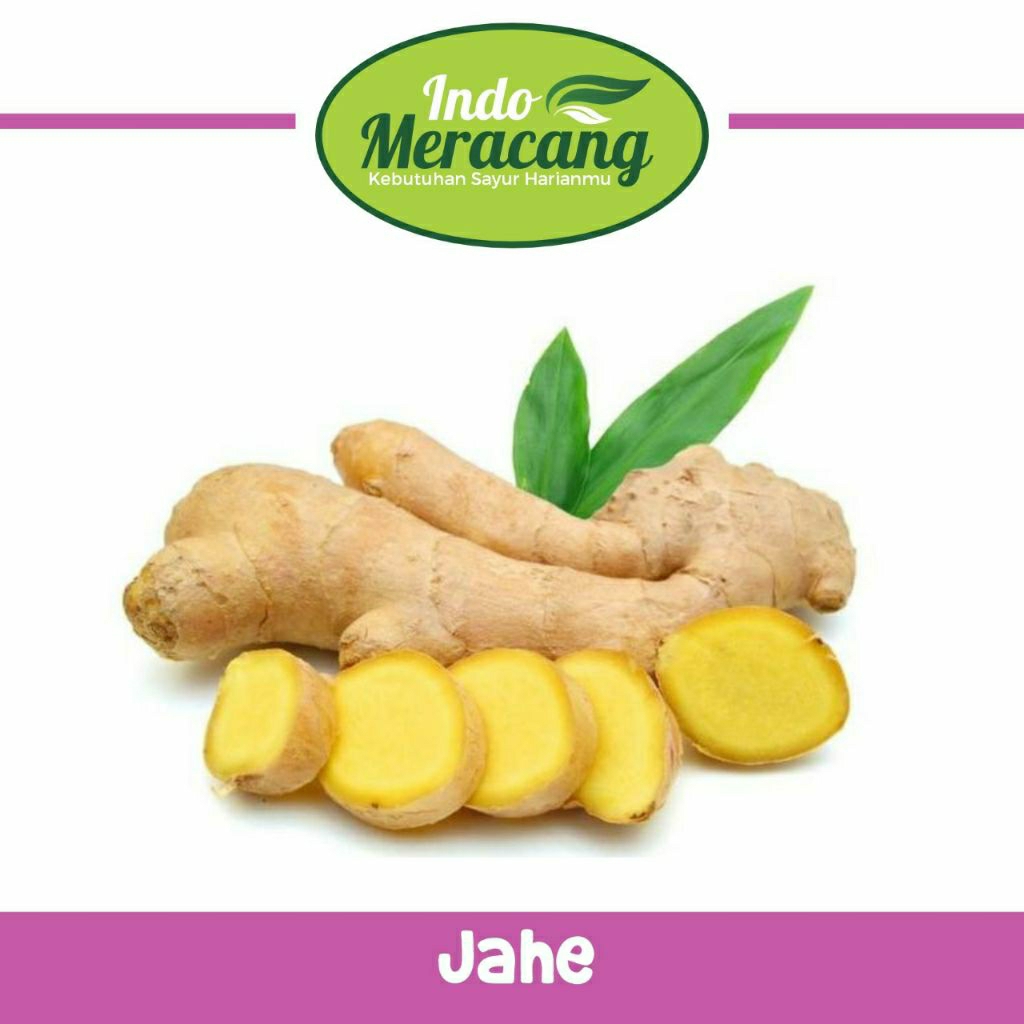 

JAHE REMPAH SEGAR
