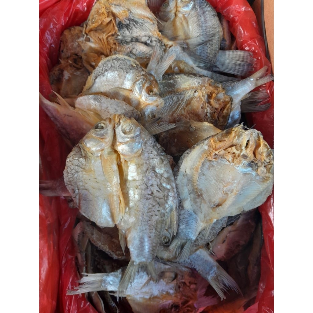 

Ikan Asin Mujaer Putih Belah Lampung 500 Gram