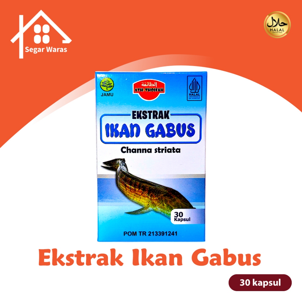 Kapsul Ikan Gabus Albumin Ikan Gabus | Obat Penghilang Bekas Luka & Obat Luka Pasca Operasi