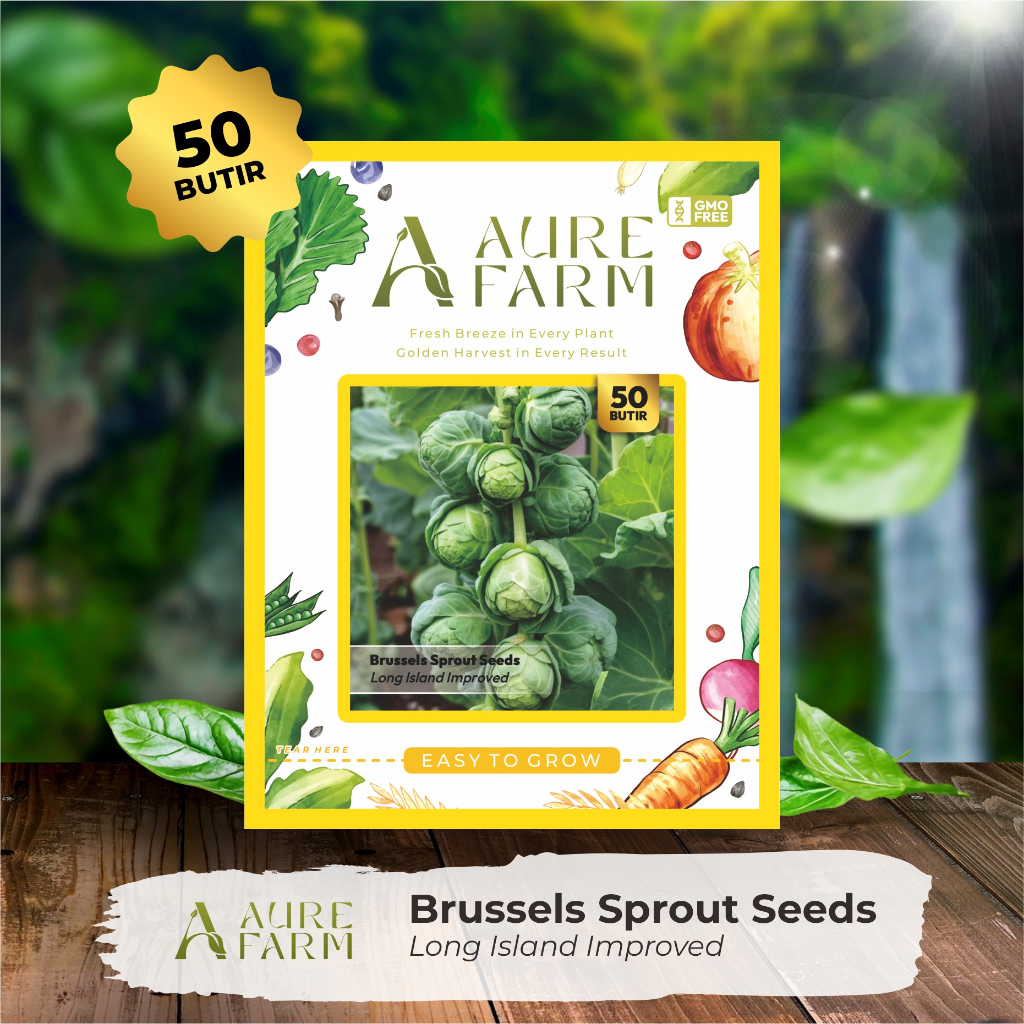 Aure Farm - Benih Bibit Sayur Brussel Sprout / Kubis Mini