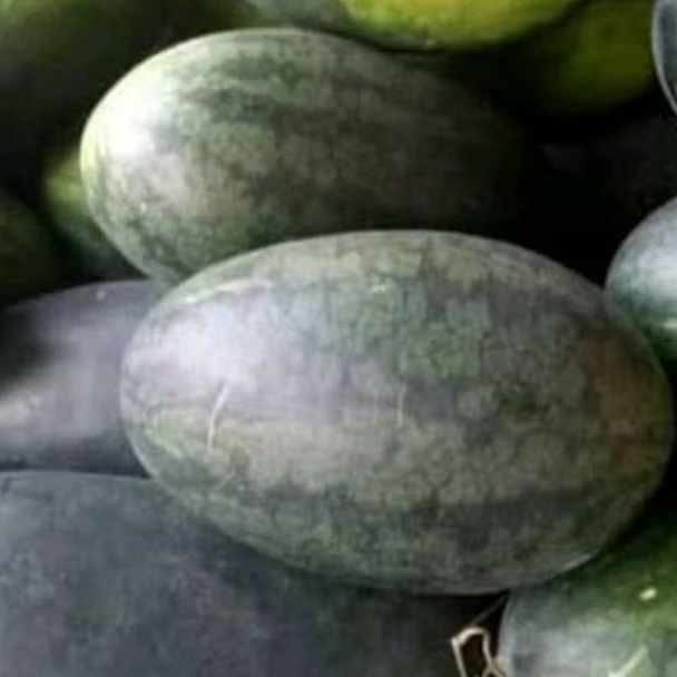 

BUAH SEMANGKA INUL MERAH PER BUAH