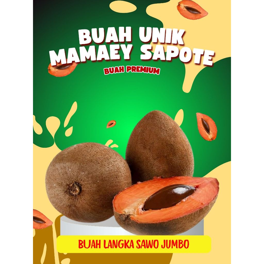 

BUAH PREMIUM !! Mamey Sapote Red, Mamey Sapote Super Red