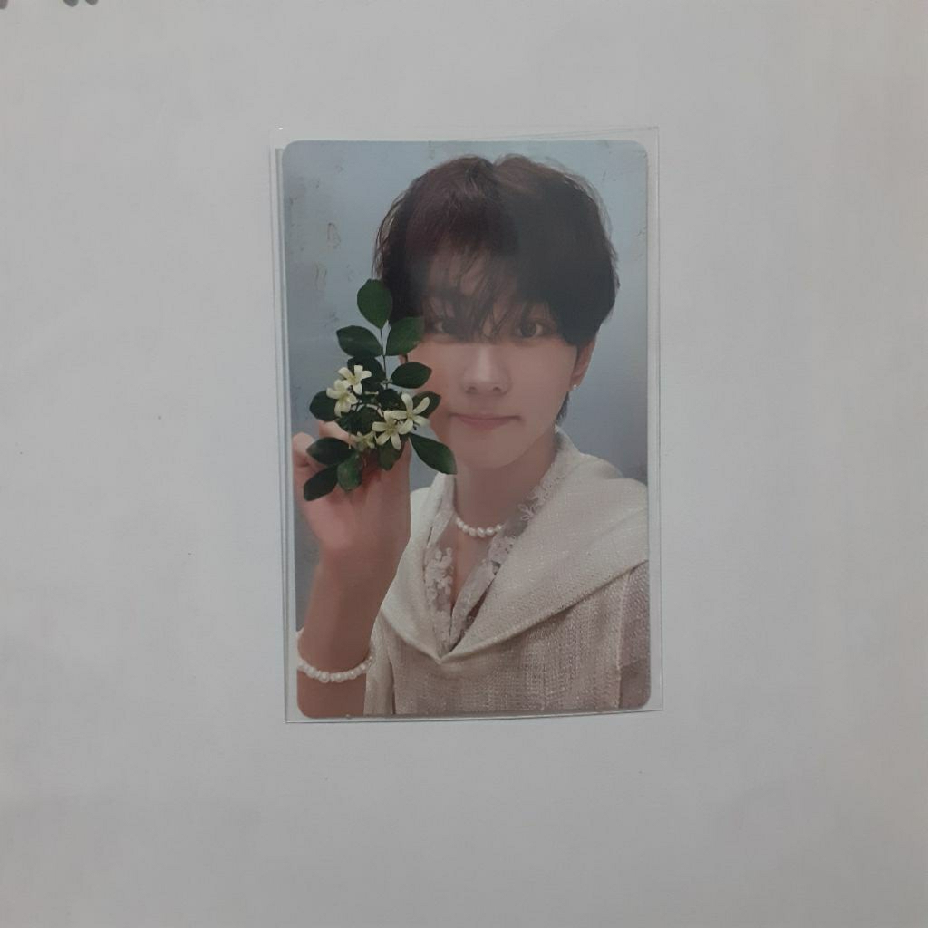 [Ready Stock] JUNGWON KALPA BUNGA