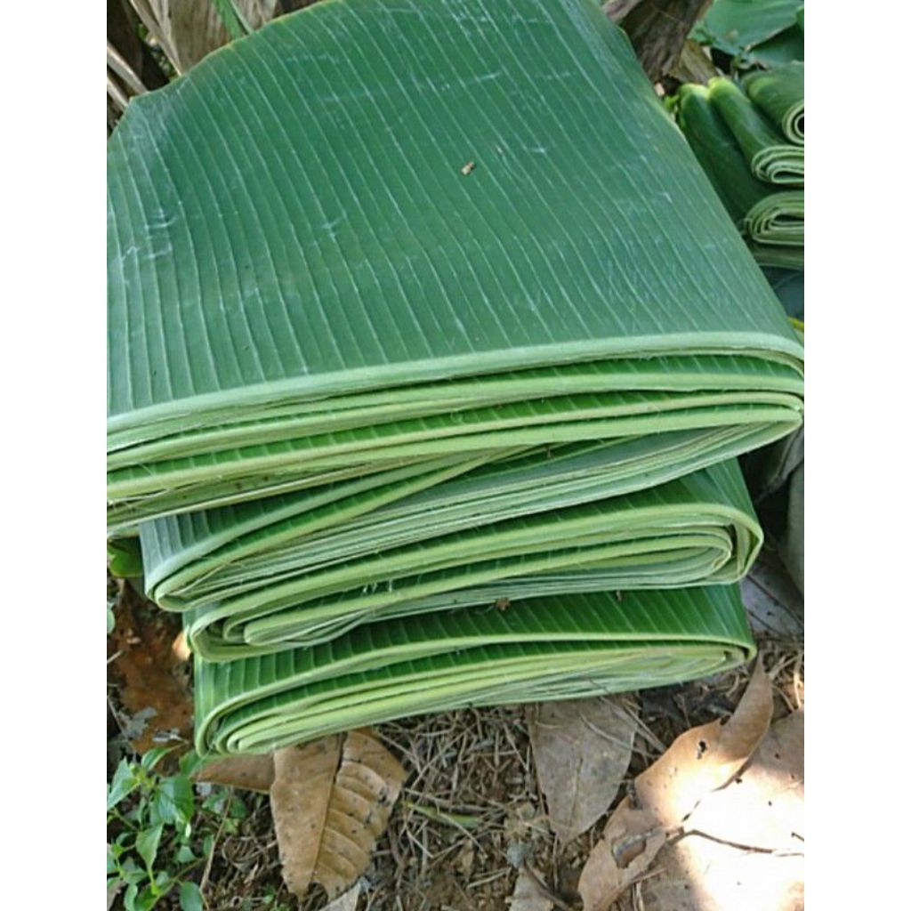 

Daun Pisang |murah meriah |serbaguna |terlaris
