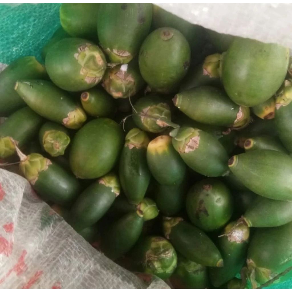 

pinang muda segar fresh/500gram