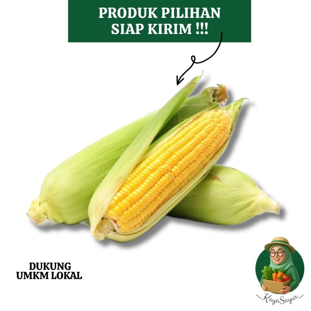 

Jagung Manis Segar