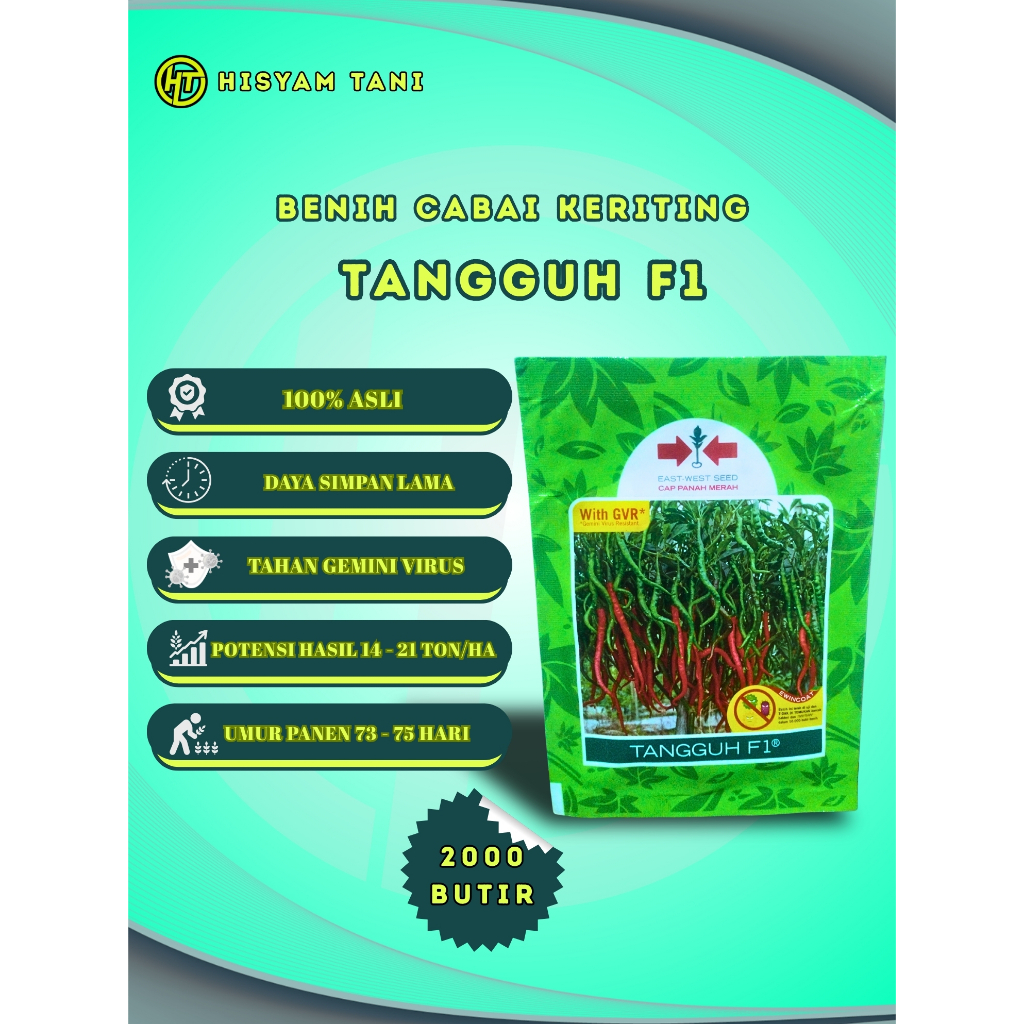 BENIH CABAI MERAH KERITING TANGGUH F1 CAP PANAH MERAH
