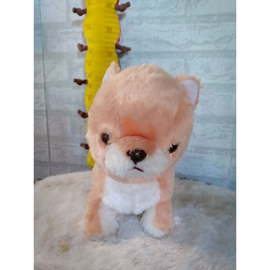 boneka anjing Amuse besar