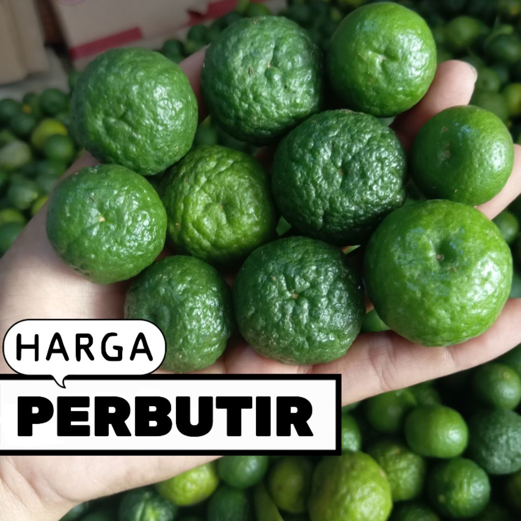 

JERUK LIMAU JERUK LIMO BASO ACI JERUK SAMBAL BUMBU