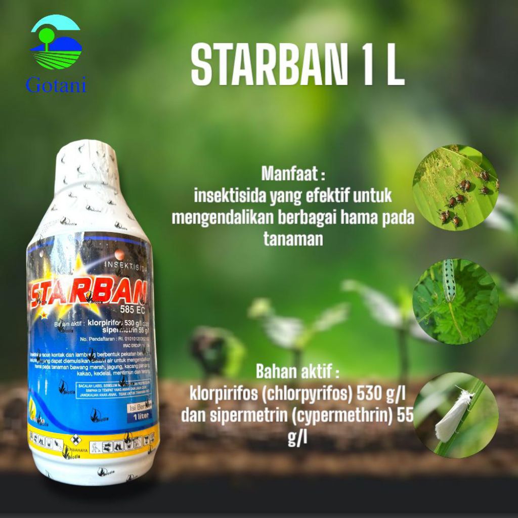 Insektisida STARBAN 585EC 1L