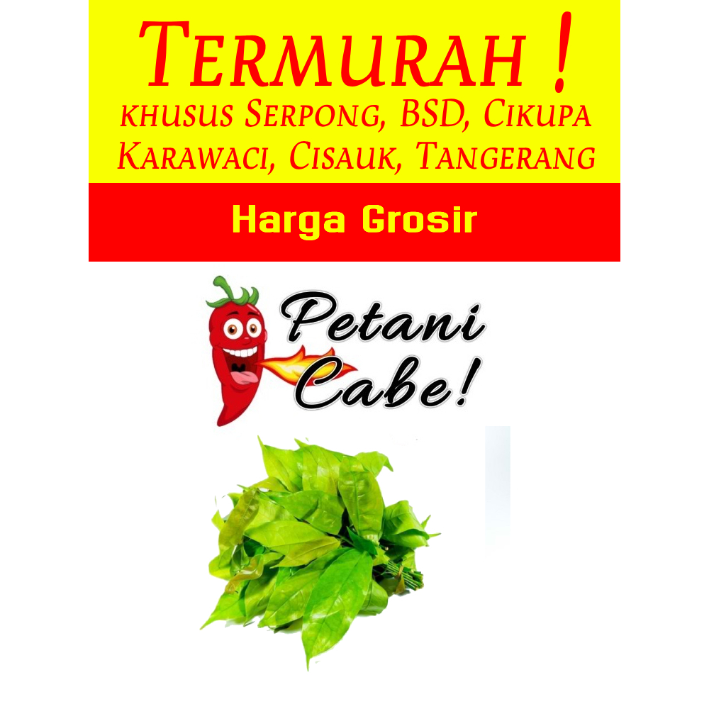 

Daun Melinjo 1 kg Harga Grosir (Petani Cabe Serpong)