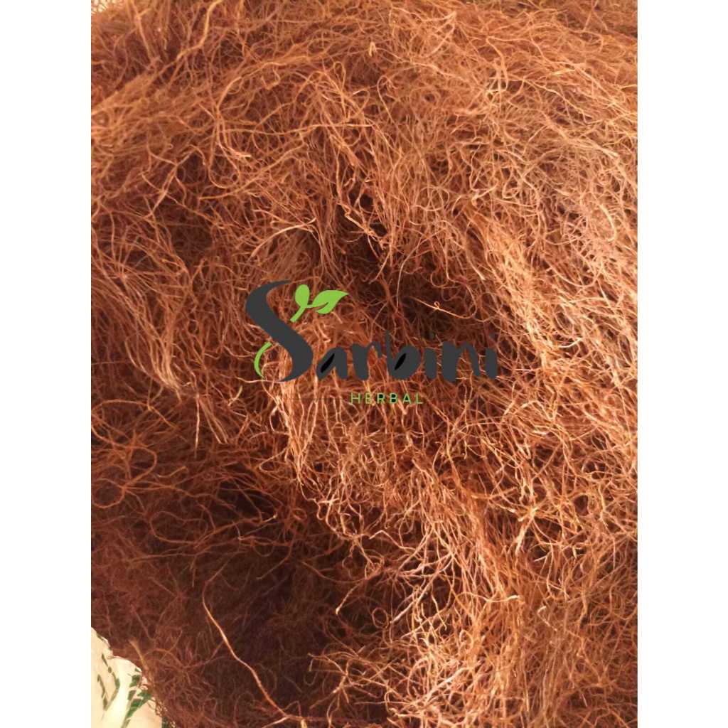 

Rambut Jagung Kering / Kering Rambut Jagung / 500 gram /1000 gram / Simplisia Kering Rambut Jagung / Rambut Jagung Kering Garansi Terjamin 100% Asli Murni / Bahan Rambut Jagung Kering / Bahan Rambut Jagung Kering Premium / Bahan Rambut Jagung Kering Murni