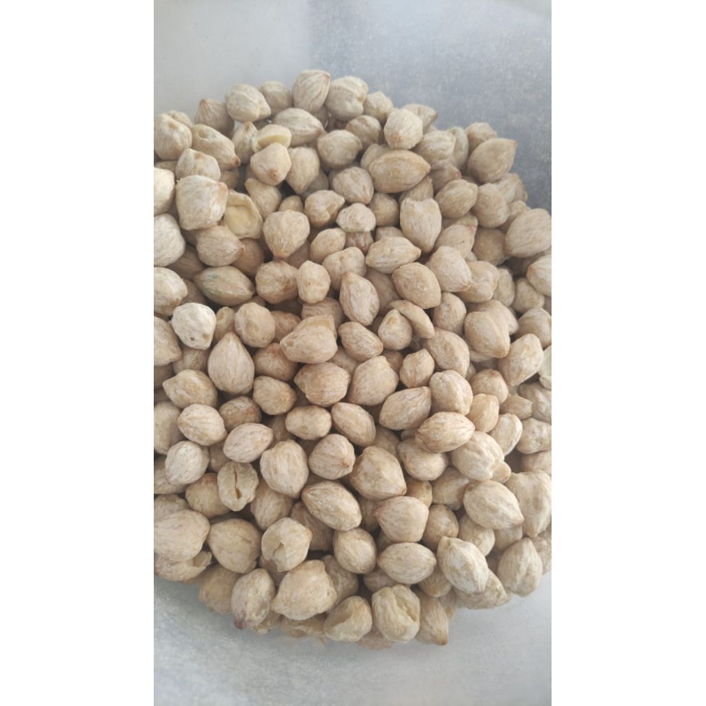 

kemiri glondong 500 gram