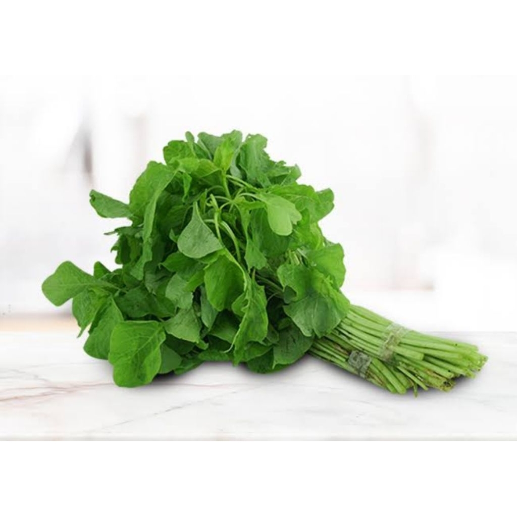 

daun bayam fresh termurah 1 ikat