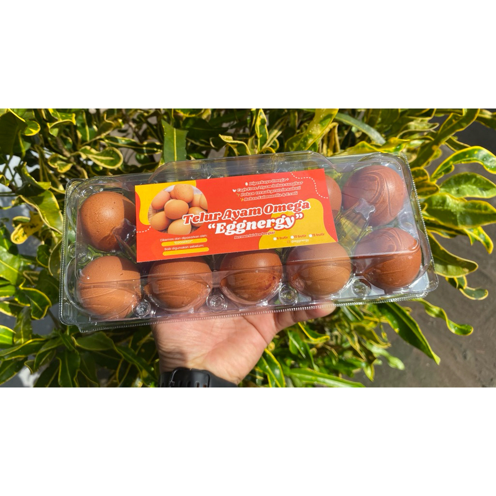 

PREMIUM TELUR OMEGA 3 (Cage Free/Ayam bebas sangkar)