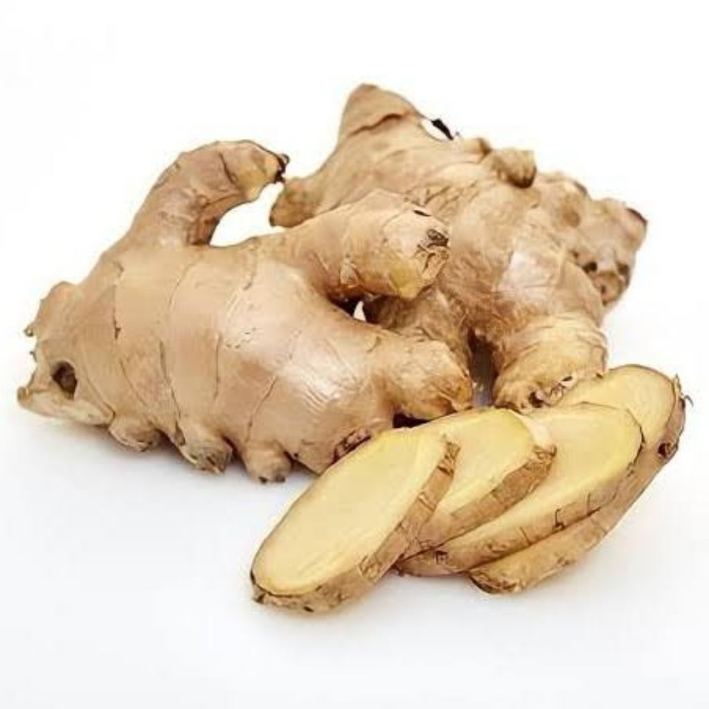 

Jahe Gajah Segar 1 kg Bersih Asli Herbal Alami