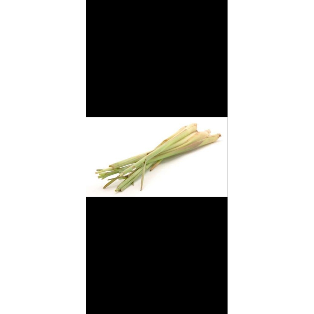 

sereh/ Sarai segar 250gr - 1 kg