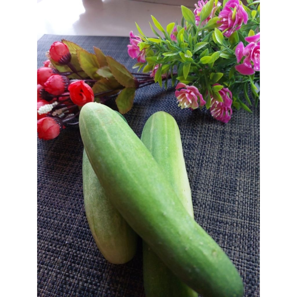 

Timun Segar 500gr Pengiriman Instan