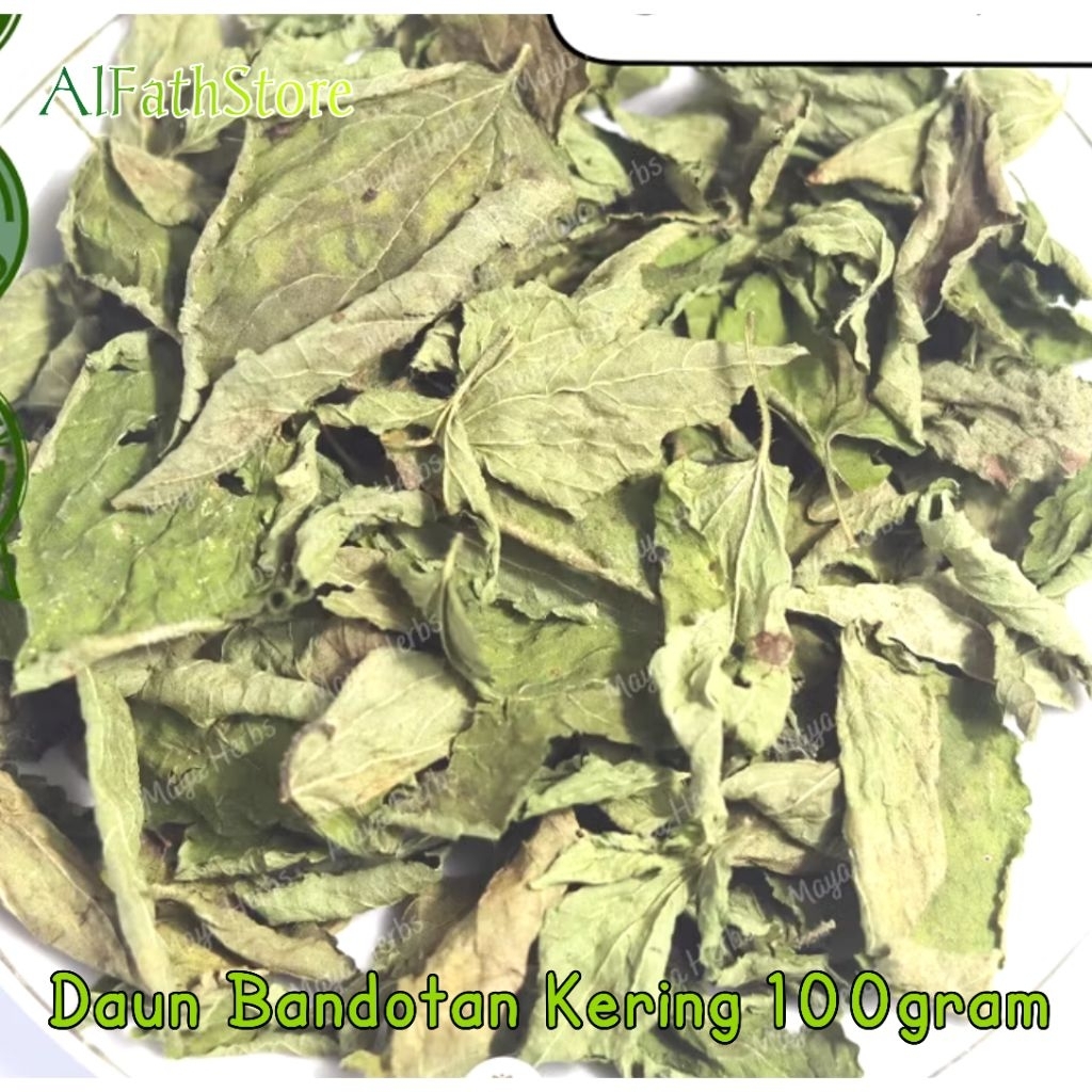 

Daun Bandotan/Babadotan Kering 100 Gram