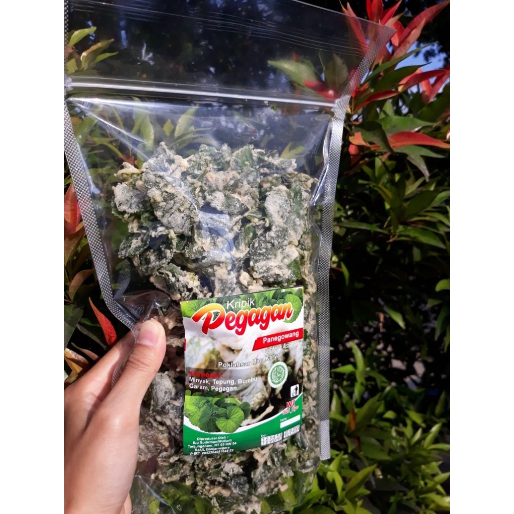 

KRIPIK PEGAGAN (CANTELIA ASIATICA)