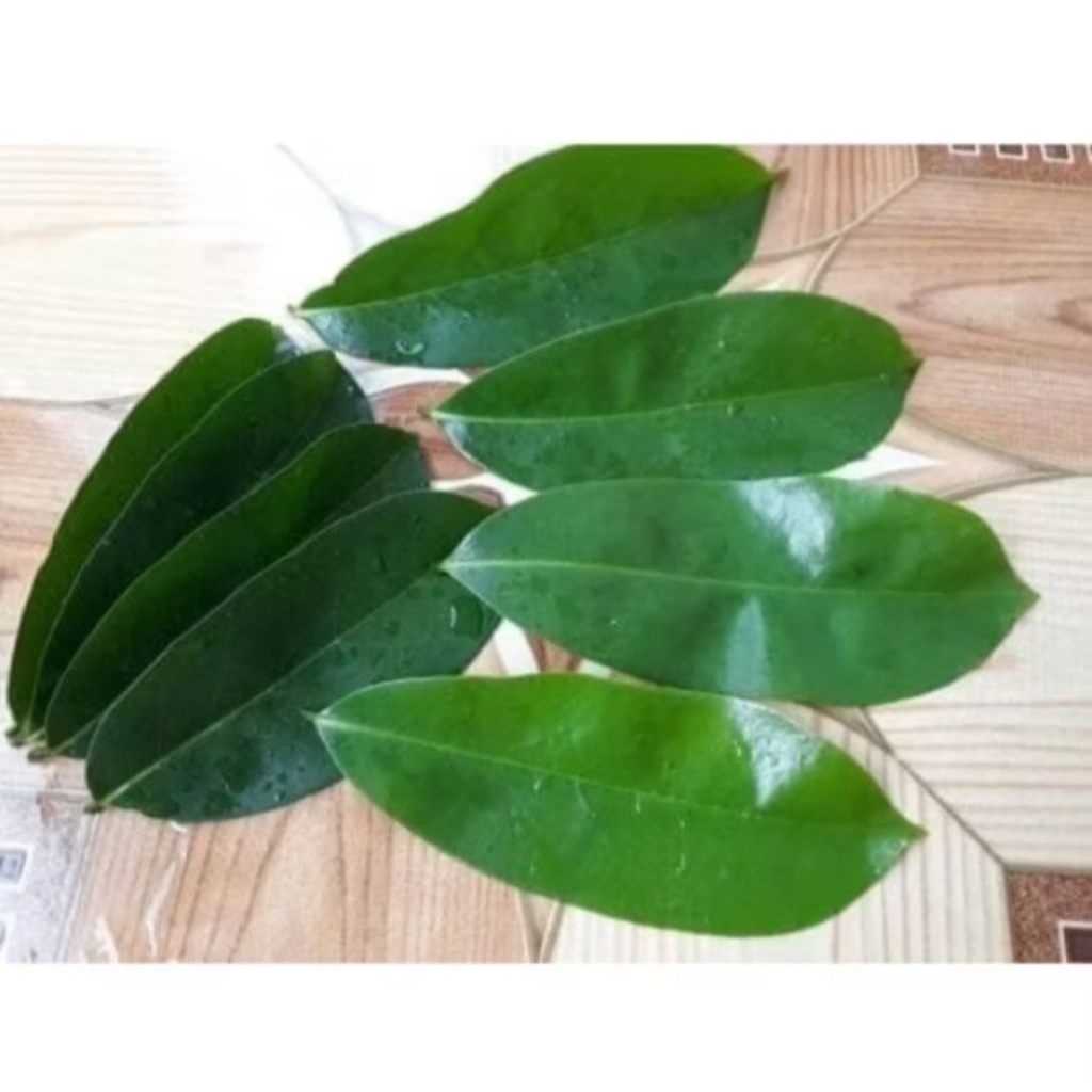 

daun sirsak 200 gram