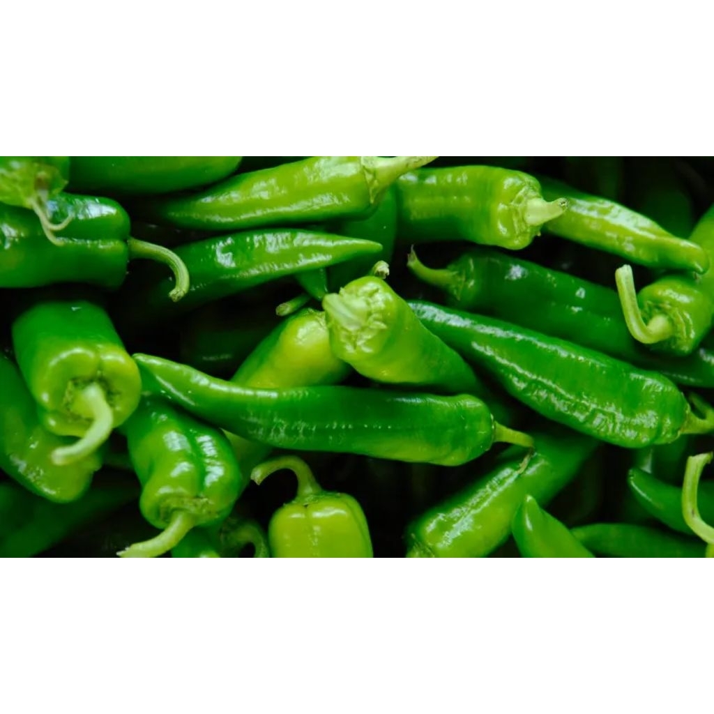 

Cabe Hijau Tanjung 1kg