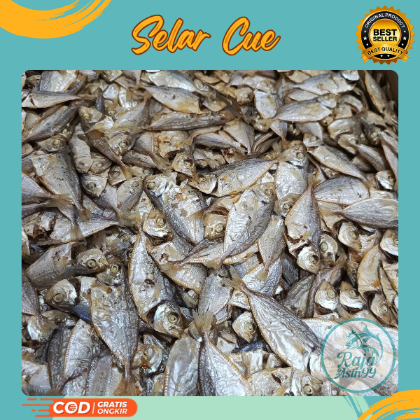 

Ikan Asin Selar Cue Rebus Murah