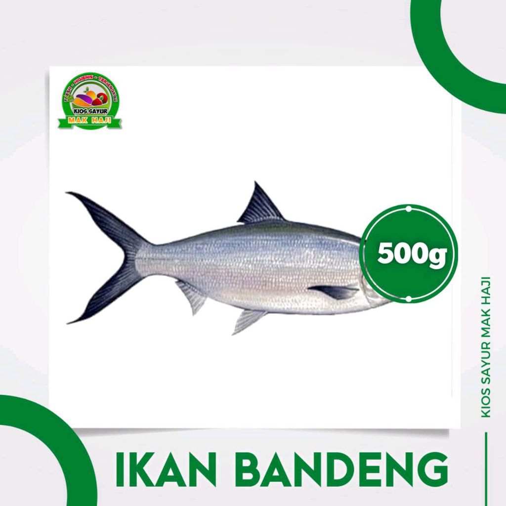 

Ikan bandeng fresh 500g