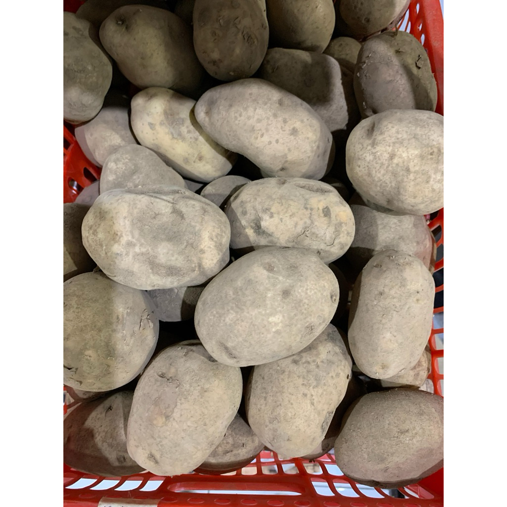 

Kentang Dieng Sedang 1 kg | Promo Sayuran Murah | Fresh Buah Amanah