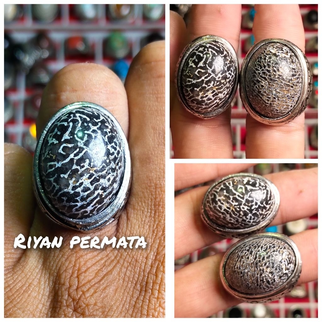 Cincin pria batu anti wisa ( penghisap racun)