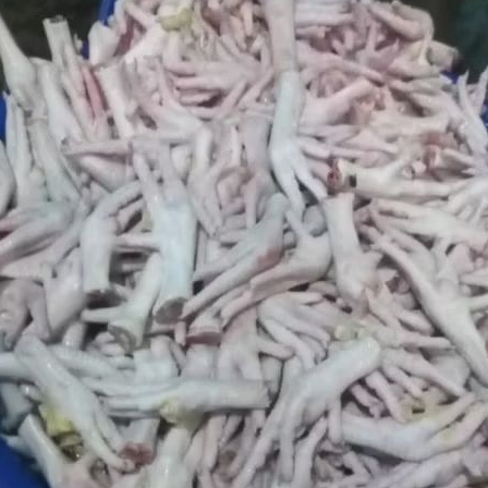 

ceker tanpa kuku