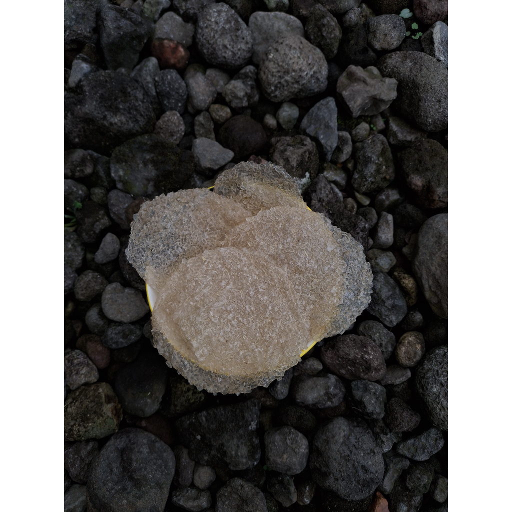 

Gendar Gayeman by Mak Ica