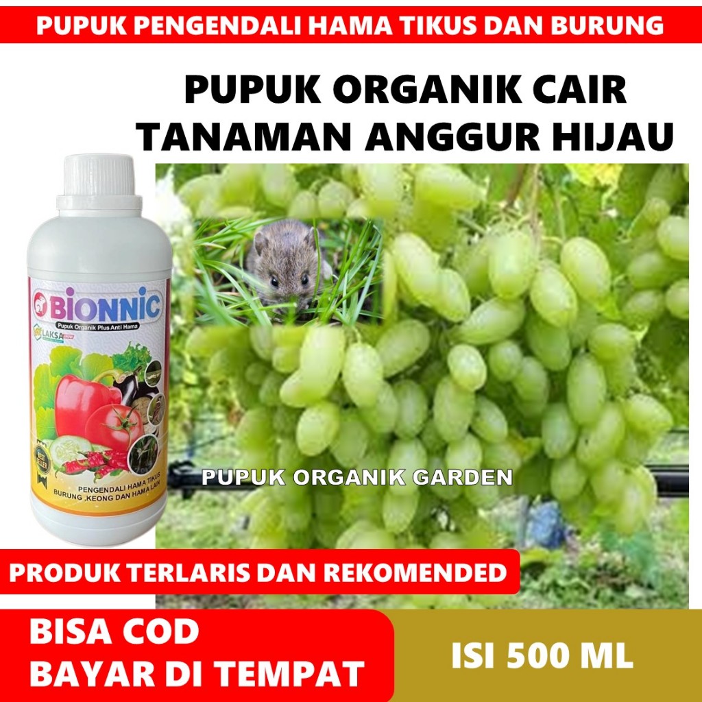 (PUPUK ANGGUR HIJAU) BIONNIC 500 ML Obat Pelebat Buah Anggur Hijau & Penyubur Akar, Daun, Batang Ang