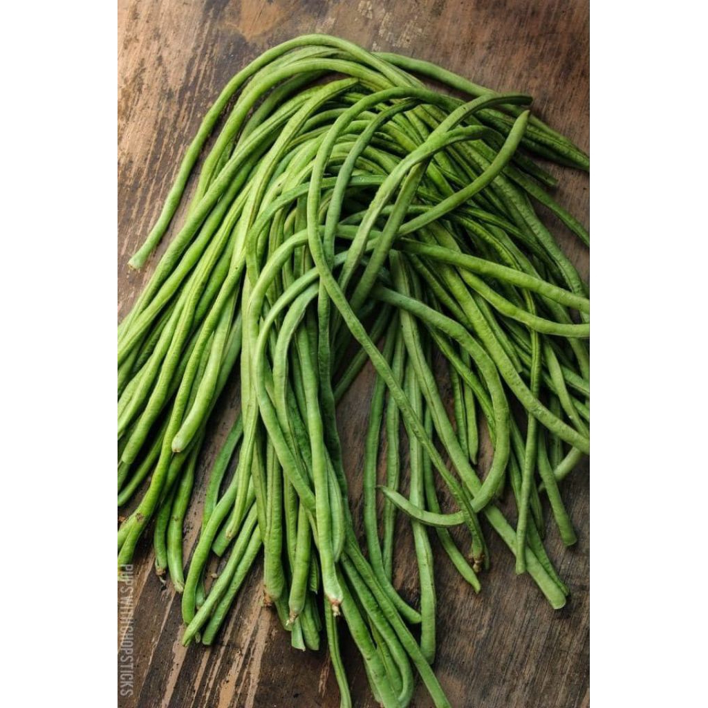 

Kacang Panjang FRESH BATAM || MOHON BACA DESKRIPSI SEBELUM CHECKOUT